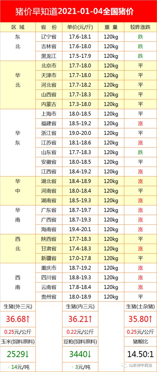 1996年1月4日生辰八字