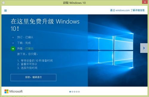 win10会中,windows10会中毒吗