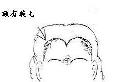 金秀风水 面相额头看运势如何