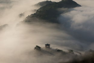 什么平野旷月涌什么流，自然景色的诗意描绘与深层寓意，什么平野旷月涌什么流的成语