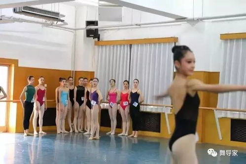 2020年北京舞蹈学院录取分数线
