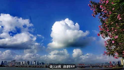 帮帮团 分享 仰望天空看云卷云舒,成了杭城摄影人每天的功课