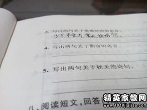 形容阳光的名言名句 关于阳光的名言