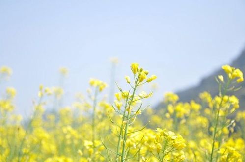 一周运势,十二星座天气预报4月27日 5月3日