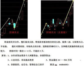 关于股票龙头股有哪些