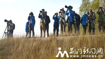 外国客人在京山八字门水库赏鸟摄鸟 