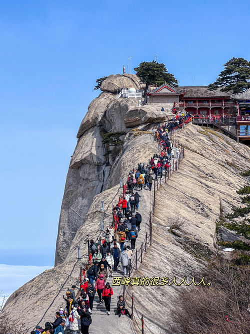 带5岁小孩爬华山西上北下成功啦?? 