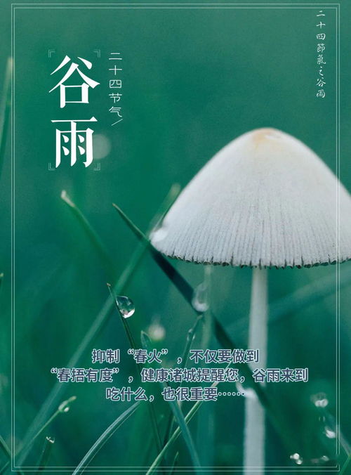 山东谷雨春