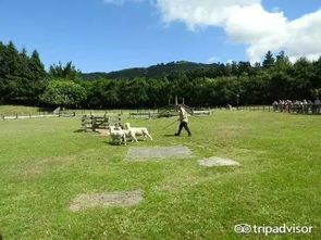 跟视钱如命的金牛座去旅行,你需要有钱,还必须长得好看 