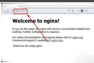 如何查看nginx服务是否正常(nginx启动命令和停止命令)