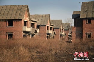 北京郊区44栋别墅烂尾20余年 爬满芦苇内部阴森恐怖 