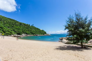 深圳海滩哪里好玩深圳海滩景点大全 攻略(深圳南澳洋畴湾免费停车场)