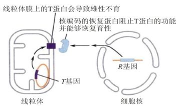 Ab型血男人的性格分析 米粒分享网 Mi6fx Com