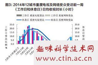 网络综艺节目受众分析毕业论文