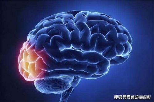 虚拟现实傻傻分不清,我们是不是生存于虚拟世界中 