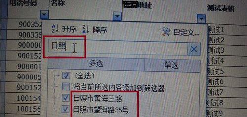 EXCEL 表格如何筛选需要的数据 