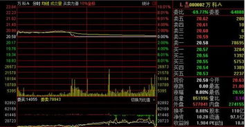 昨日国家队万科股票横盘是什么意思