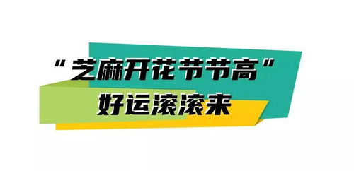 很炫很酷很好玩 顶呱刮四款新票与大家见面啦