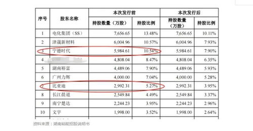 比亚迪股东持股比例