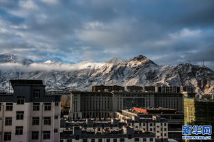 拉萨又迎春雪 美景诱人