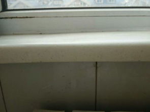 家里阳台下雨外墙渗水怎么办,窗台下面的墙壁 怎么引起的,我该怎么解决 