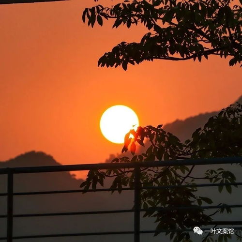 夕阳励志文案配音是谁—黄昏爱上夕阳文案？