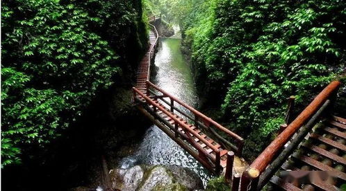 泰安古镇,青城后山一日游