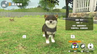 Switch宠物模拟养成游戏 小小伙伴 狗狗 猫猫 繁中版将于4月25日正式发售 