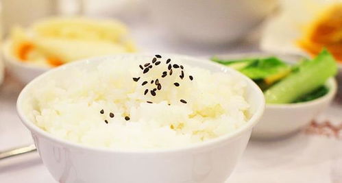 米饭冷冻可以保存多久