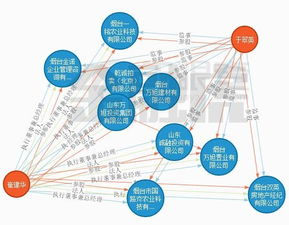 投资发展公司的经营范围