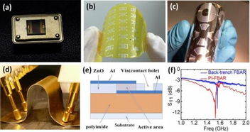 基础院祖小涛教授和傅永庆教授团队在 Progress in Materials Science上发表特邀论文