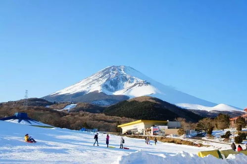 冬奥会上的安安是谁(冬奥会中的萌娃滑雪项目) 第1张