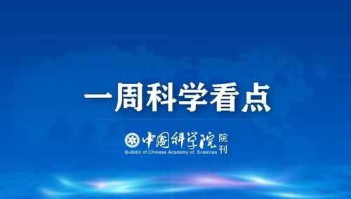 尾部查重网：守护学术诚信，从查重开始