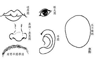 水形人性格命运 水形人命好不好