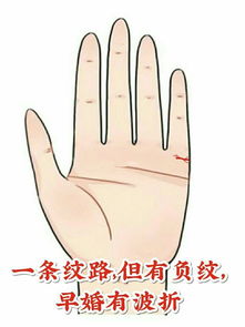 手相 婚姻线水星丘,手相上的婚姻线在哪儿 婚姻线看左手还是右手？