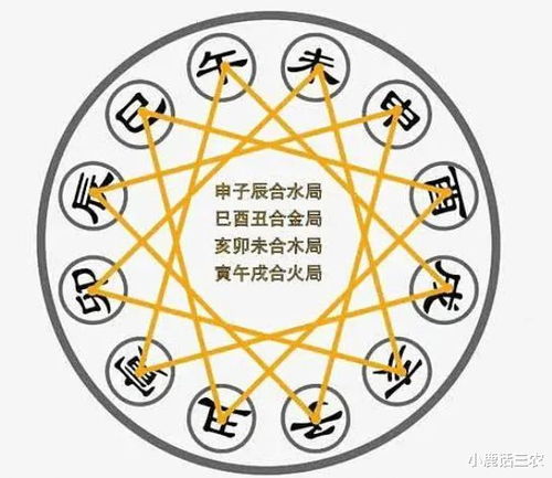 明年2024本命龙年,这4个属相步步高升,事业有成,看看有你吗