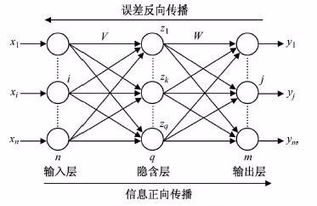 什么是神经网络的BP算法