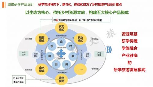 残联督查整改方案范文—乡村振兴机构怎么设置？