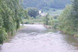 河长制让河流水更清景更美百姓富 记大方县大山乡光华村落实河长制成效 