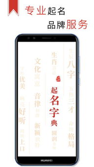 起名取名字典app下载 起名取名字典下载 2.1.7 手机版 河东软件园 