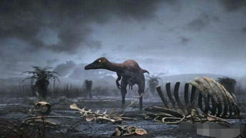 当年毁灭恐龙的那颗流星现在撞击地球,人类会灭绝吗 专家一席话让人心惊