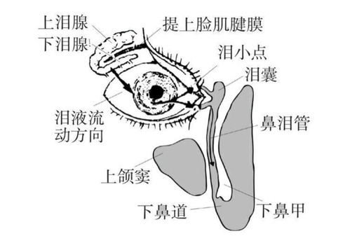 知医 哭泣流泪的背后......