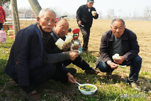 土豆打败红薯成为第四大主粮,红薯为啥不能主粮化,问题出在哪里