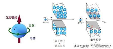 中国科学家巧设实验诠释量子力学波函数真实存在