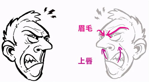 漫画生气表情怎么画 教你漫画人物生气表情的画法教程