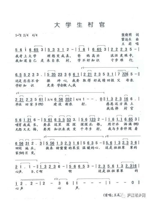 庐江奇人张晓明作词的经典歌曲集锦 一 首首经典