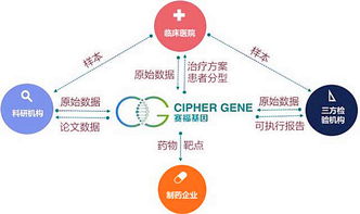 可控成本的介绍 