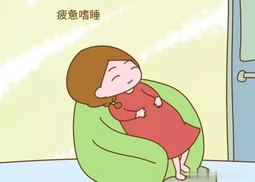 想离 婚都难了,2020婚姻 法 新 规