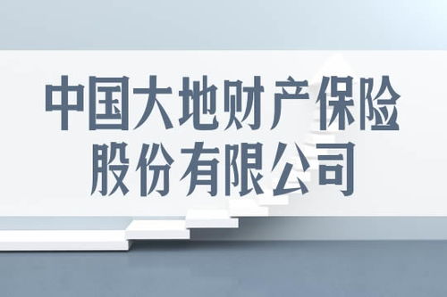 大地财产保险和中国再保险公司是一家的吗？