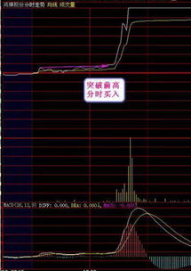 一只股票当天成交1万手,可以理解成买卖个5千手吗?